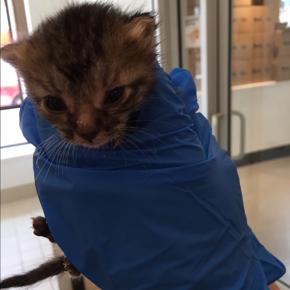 Meet your Posher, Erin - Picture 1 of 1